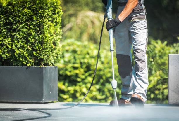 Best Roof Cleaning and Mildew Removal in San Diego, TX