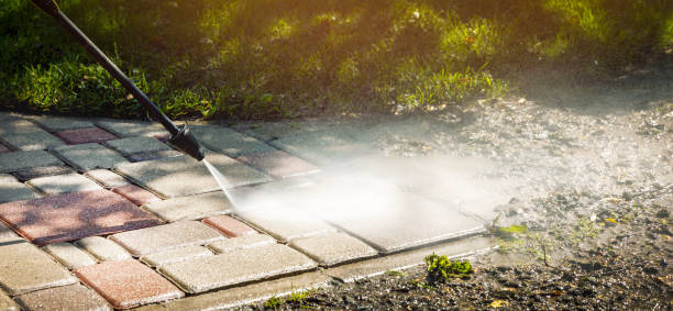 Best Concrete Surface Cleaning in San Diego, TX